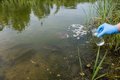 Как понять, что воде в пруду нужен анализ: признаки проблем у рыбы и водоёма